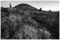 Wildflowers, entrance of Big Painted Cave, Schonchin Butte, dawn. Lava Beds National Monument, California, USA ( black and white)