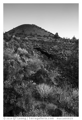 Wildflowers, Big Painted Cave, Schonchin Butte, sunrise. Lava Beds National Monument, California, USA (black and white)