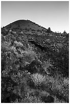 Wildflowers, Big Painted Cave, Schonchin Butte, sunrise. Lava Beds National Monument, California, USA ( black and white)