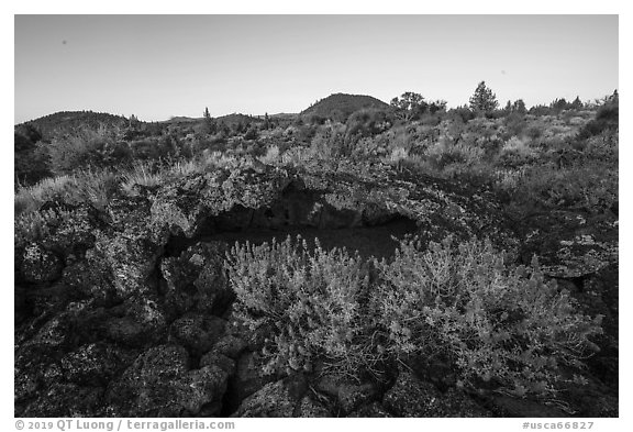 Wildflowers, lava, and distant buttes at sunrise. Lava Beds National Monument, California, USA (black and white)