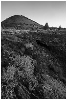 Wildflowers, Big Painted Cave entrance and Schonchin Butte. Lava Beds National Monument, California, USA ( black and white)