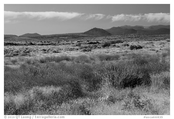 Grasslands and volcanic buttes. Lava Beds National Monument, California, USA (black and white)
