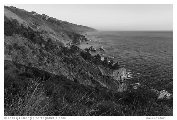 Blooms and costline from Partington Point at sunset. Big Sur, California, USA (black and white)