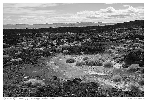 Lavic Lake volcanic field. Mojave Trails National Monument, California, USA