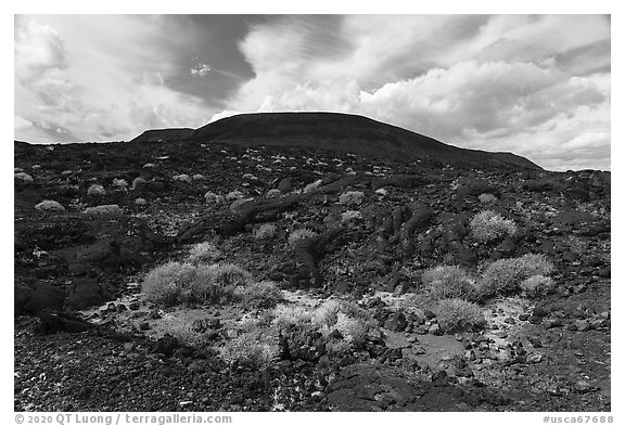 Lava field and Pisgah cinder cone. Mojave Trails National Monument, California, USA