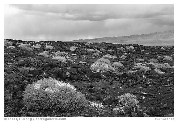 Lavic Lake volcanic field and Cady Mountains. Mojave Trails National Monument, California, USA