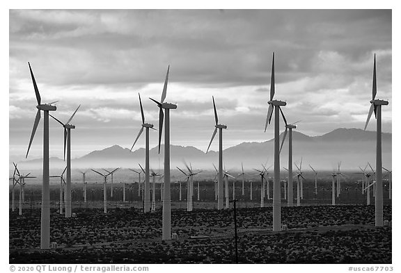 Wind turbines at dawn, San Gorgonio Pass. California, USA (black and white)