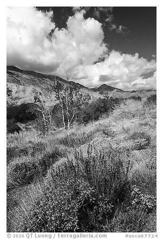 Whitewater River Valley and San Bernardino Mountains, Whitewater Preserve. Sand to Snow National Monument, California, USA (black and white)