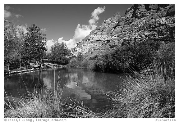 Trout Pond, Whitewater Preserve. Sand to Snow National Monument, California, USA (black and white)