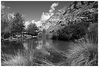 Trout Pond, Whitewater Preserve. Sand to Snow National Monument, California, USA ( black and white)