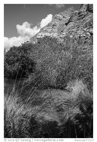 Pond and cliffs, Whitewater Preserve. Sand to Snow National Monument, California, USA (black and white)