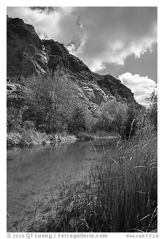 Pond, trees in spring, and cliffs, Whitewater Preserve. Sand to Snow National Monument, California, USA (black and white)