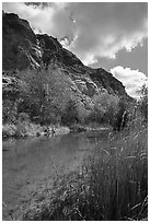 Pond, trees in spring, and cliffs, Whitewater Preserve. Sand to Snow National Monument, California, USA ( black and white)