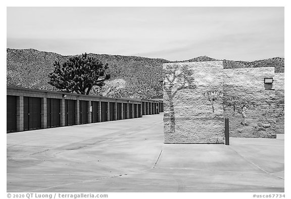 Self-storage units with Joshua trees, Yucca Valley. California, USA (black and white)