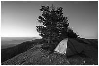 Tent on Mount Baldy Devils Backbone at dawn. San Gabriel Mountains National Monument, California, USA ( black and white)