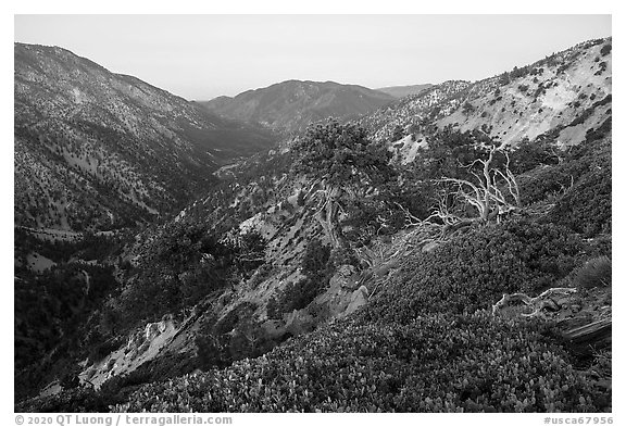 San Antonio Canyon from Mt Baldy at dawn. San Gabriel Mountains National Monument, California, USA