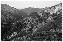 San Antonio Canyon from Mt Baldy at dawn. San Gabriel Mountains National Monument, California, USA ( black and white)