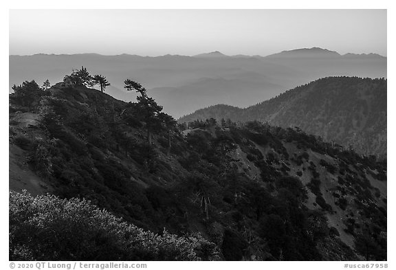 Mount San Antonio's Devils Backbone ridge at sunrise. San Gabriel Mountains National Monument, California, USA (black and white)