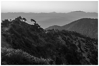 Mount San Antonio's Devils Backbone ridge at sunrise. San Gabriel Mountains National Monument, California, USA ( black and white)