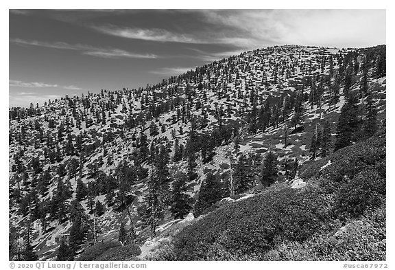 Baldy Bowl. San Gabriel Mountains National Monument, California, USA (black and white)