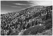 Baldy Bowl. San Gabriel Mountains National Monument, California, USA ( black and white)