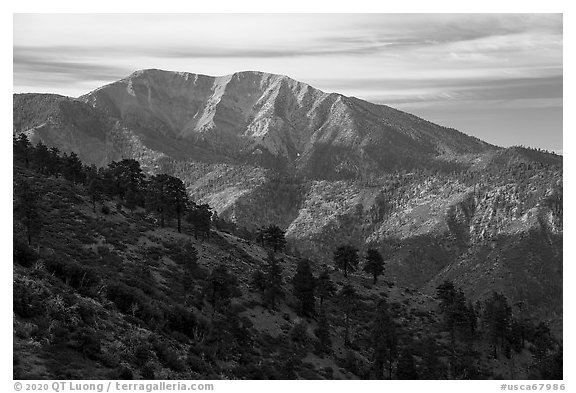 Mt Baldy from Blue Ridge. San Gabriel Mountains National Monument, California, USA (black and white)