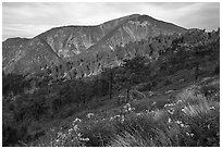 Mt Baden Powell from Blue Ridge. San Gabriel Mountains National Monument, California, USA ( black and white)