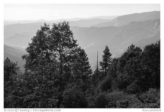 Hazy ridges from Converse Basin. Giant Sequoia National Monument, Sequoia National Forest, California, USA