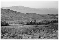 Mojave Desert hills and mountains with Bonanza Springs. Mojave Trails National Monument, California, USA ( black and white)