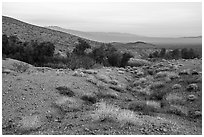 Limestone canyon with Bonanza Springs Oasis. Mojave Trails National Monument, California, USA ( black and white)