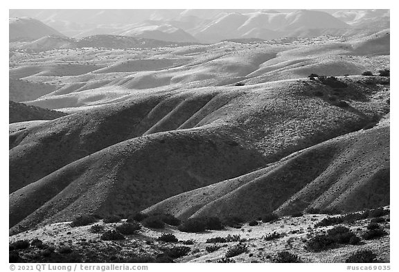 Foothills, Caliente Range. Carrizo Plain National Monument, California, USA (black and white)