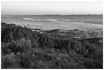Shurbs and juniper on Caliente Ridge above plain. Carrizo Plain National Monument, California, USA ( black and white)