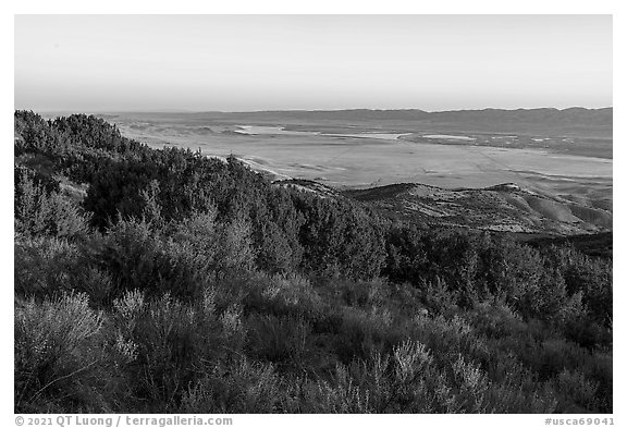 Caliente Ridge with juniper above plain at sunrise. Carrizo Plain National Monument, California, USA (black and white)