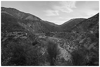 East Fork of the San Gabriel River. San Gabriel Mountains National Monument, California, USA ( black and white)
