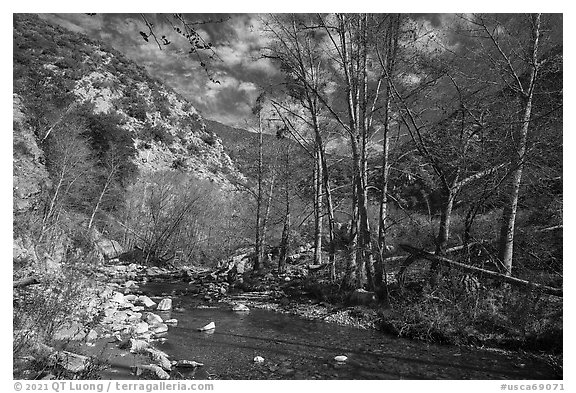East Fork of San Gabriel River in late winter. San Gabriel Mountains National Monument, California, USA (black and white)