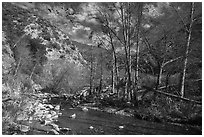 East Fork of San Gabriel River in late winter. San Gabriel Mountains National Monument, California, USA ( black and white)