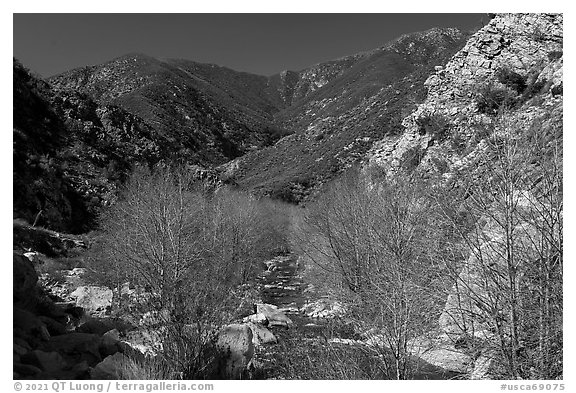 San Gabriel River flowing in canyon with newly leafed trees. San Gabriel Mountains National Monument, California, USA (black and white)