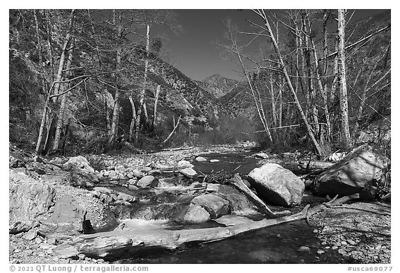 East Fork San Gabriel River flowing over rocks in late winter, Sheep Mountain Wilderness. San Gabriel Mountains National Monument, California, USA (black and white)