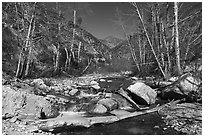 East Fork San Gabriel River flowing over rocks in late winter, Sheep Mountain Wilderness. San Gabriel Mountains National Monument, California, USA ( black and white)