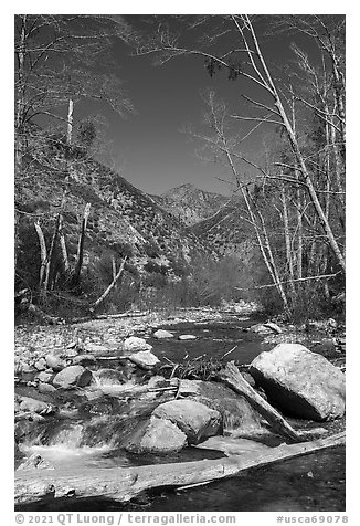 San Gabriel River flowing over rocks and framed by bare trees, Sheep Mountain Wilderness. San Gabriel Mountains National Monument, California, USA
