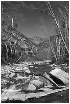 San Gabriel River flowing over rocks and framed by bare trees, Sheep Mountain Wilderness. San Gabriel Mountains National Monument, California, USA ( black and white)