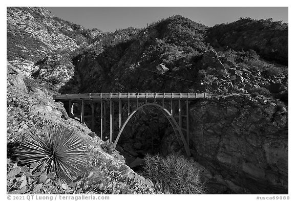 Yucca and Bridge to Nowhere. San Gabriel Mountains National Monument, California, USA (black and white)