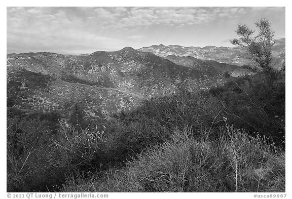 Shrubs, hills, and peak from Glendora Ridge. San Gabriel Mountains National Monument, California, USA