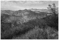 Shrubs, hills, and peak from Glendora Ridge. San Gabriel Mountains National Monument, California, USA ( black and white)