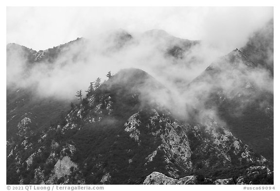 Peaks in fog above Bear Canyon. San Gabriel Mountains National Monument, California, USA (black and white)