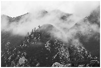 Peaks in fog above Bear Canyon. San Gabriel Mountains National Monument, California, USA ( black and white)