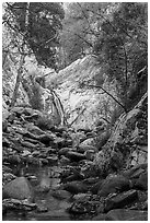 Boulders and Lower Switzer Falls. San Gabriel Mountains National Monument, California, USA ( black and white)