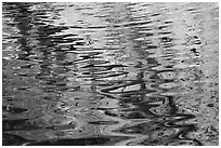 Ripples in pool below Lower Switzer Falls. San Gabriel Mountains National Monument, California, USA ( black and white)