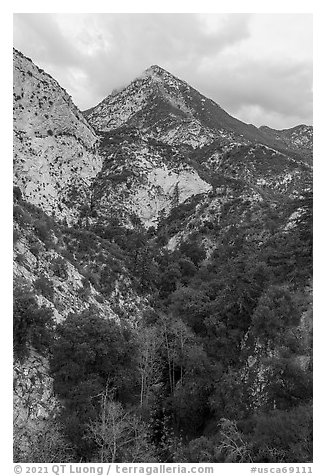 Peaks and Bear Canyon. San Gabriel Mountains National Monument, California, USA (black and white)