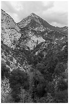 Peaks and Bear Canyon. San Gabriel Mountains National Monument, California, USA ( black and white)
